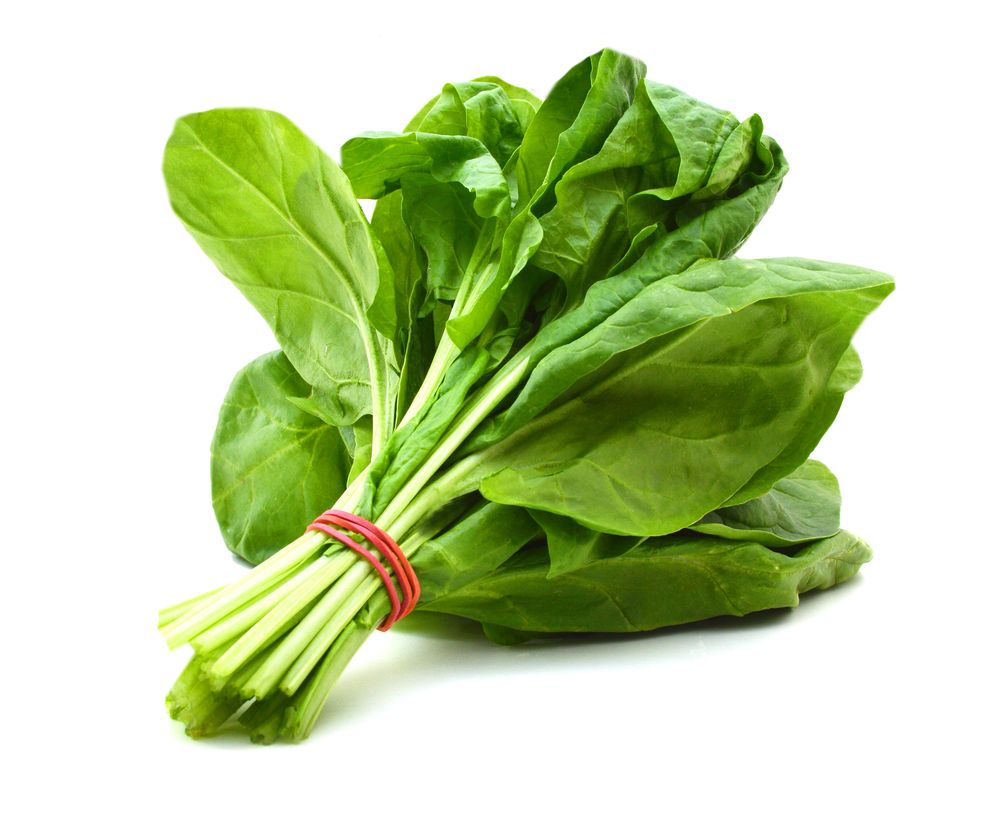 Spinach Palak - Vegetables
