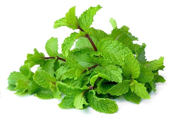 Peppermint - Podina - Vegetables