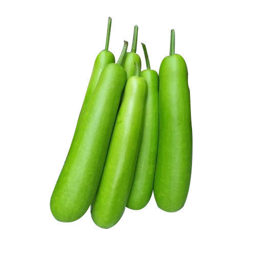 Bottle Gourd - Loci - Vegetables