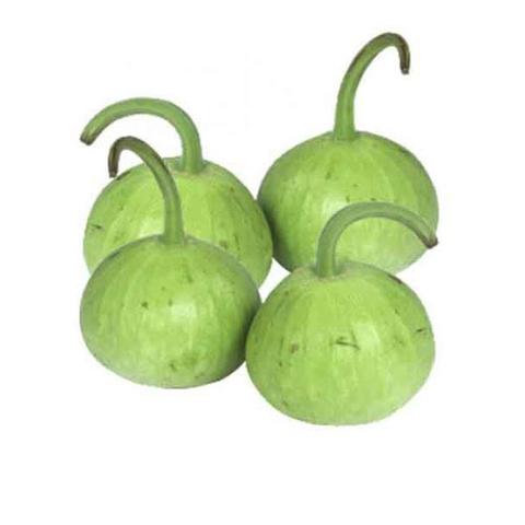 Pumpkin - Kadu - Vegetables