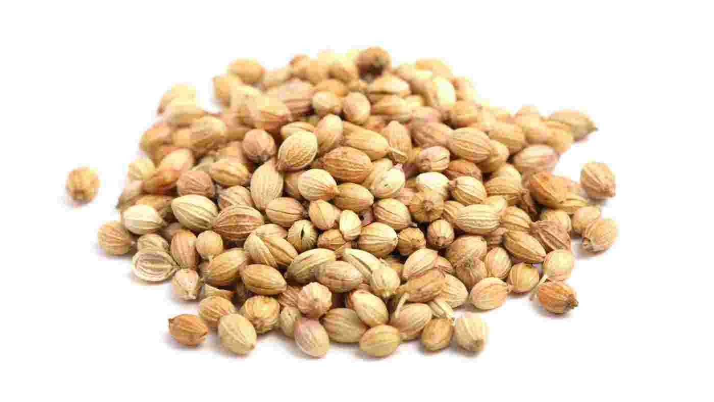 Coriander Seeds - Coriander - Sabut Garam Masala