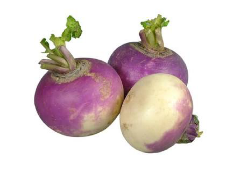 Turnip Shaljam - Vegetables
