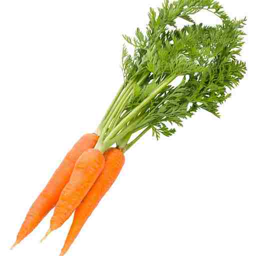 Carrots - Gajar - Vegetables