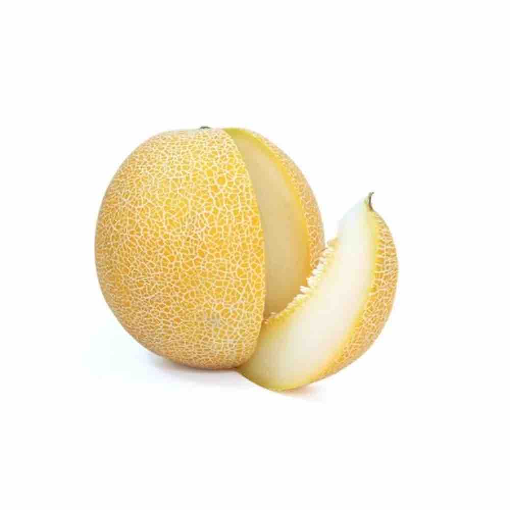 Melon Garma - Fruits