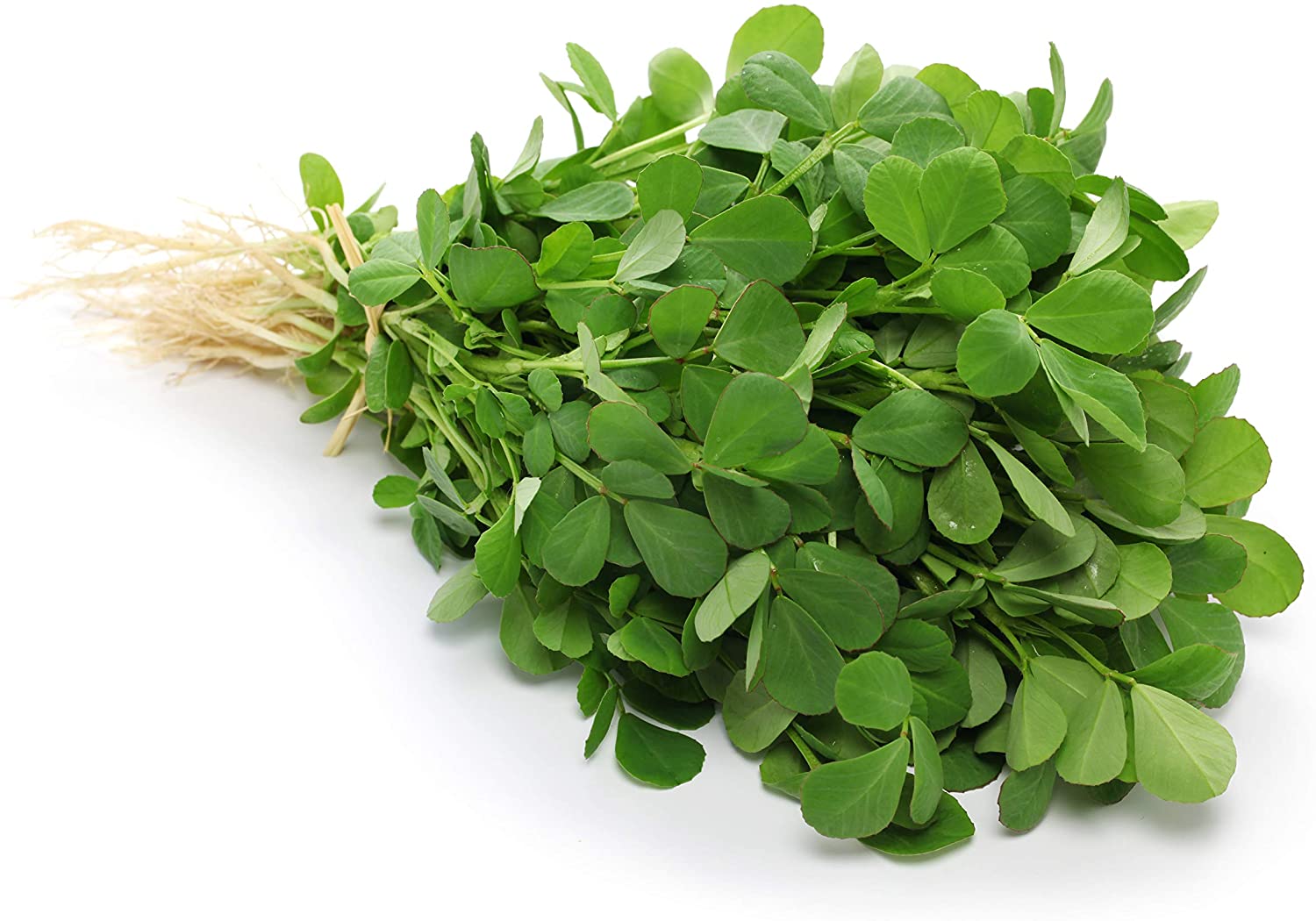 Fenugreek - Methi - Vegetables
